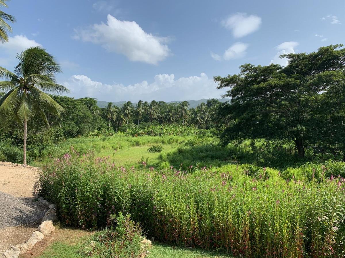 Queendom Farm And Oracabessa