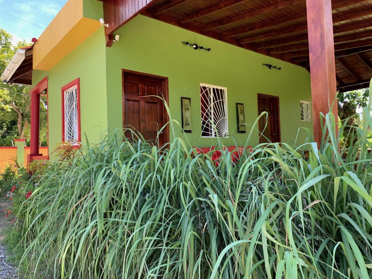Hostel Queendom Farm And