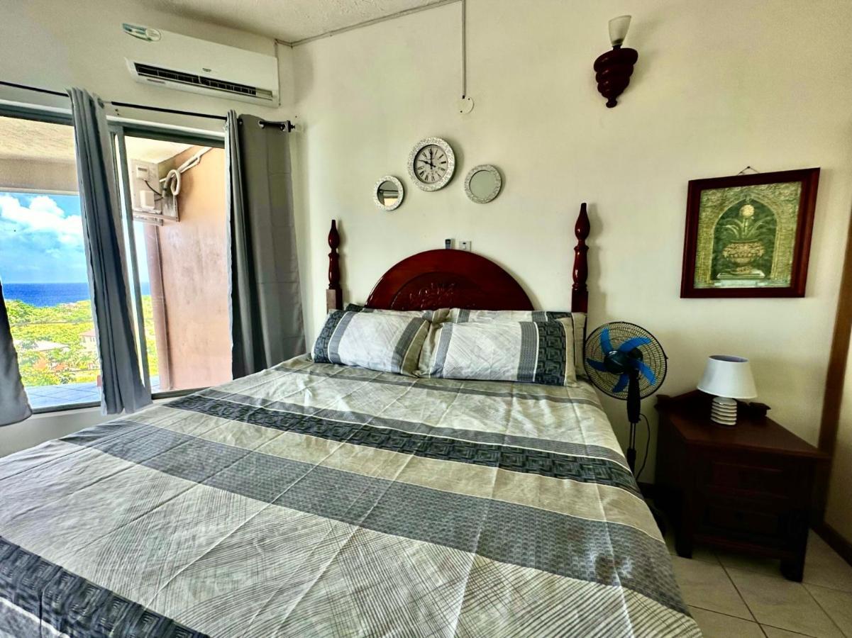 876 Oasis - A Private Oceanview Guest house Ocho Rios