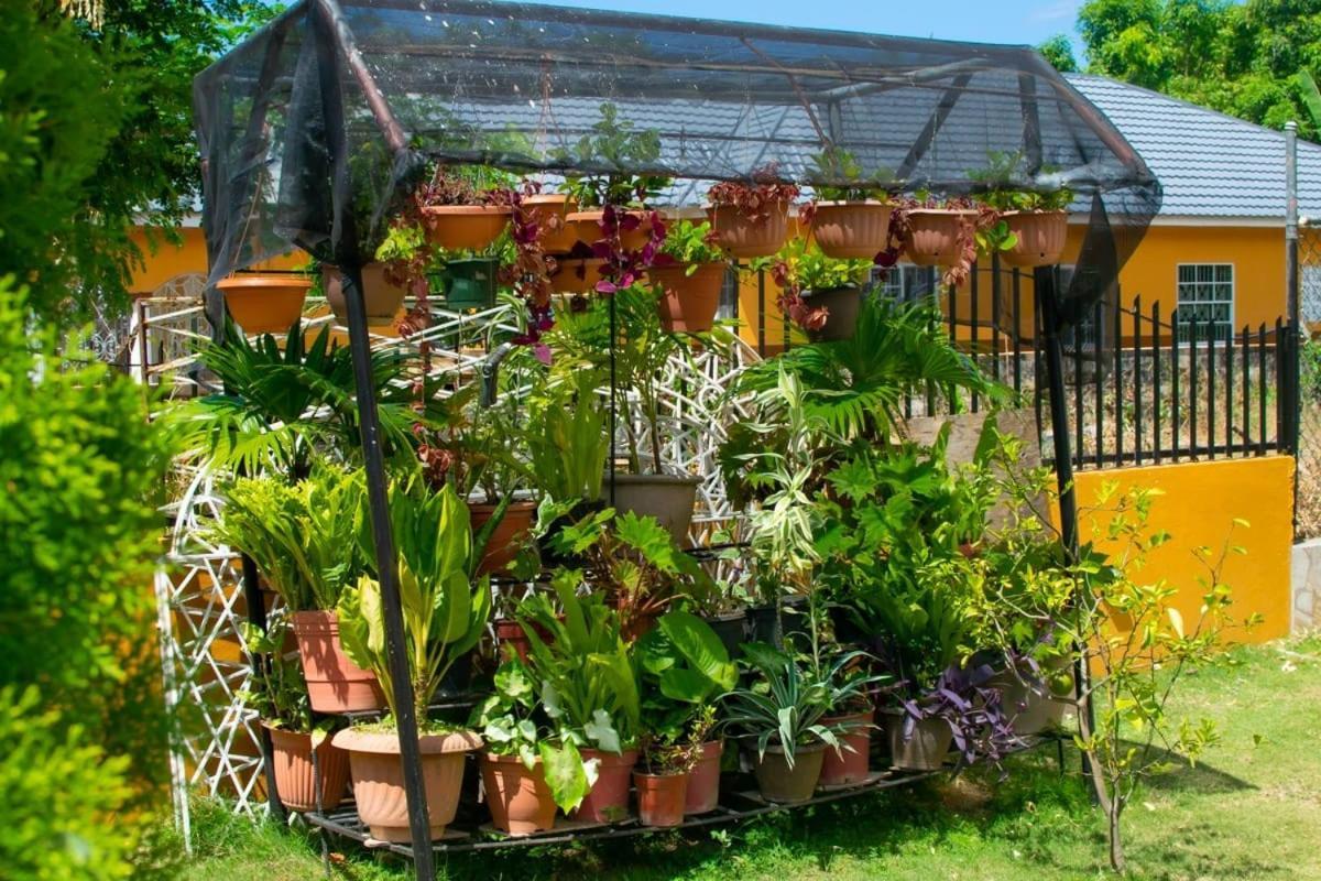 Guest house Windbreak