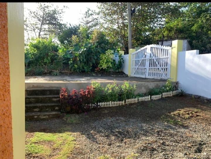 Yaad Away From Yaad Guest house