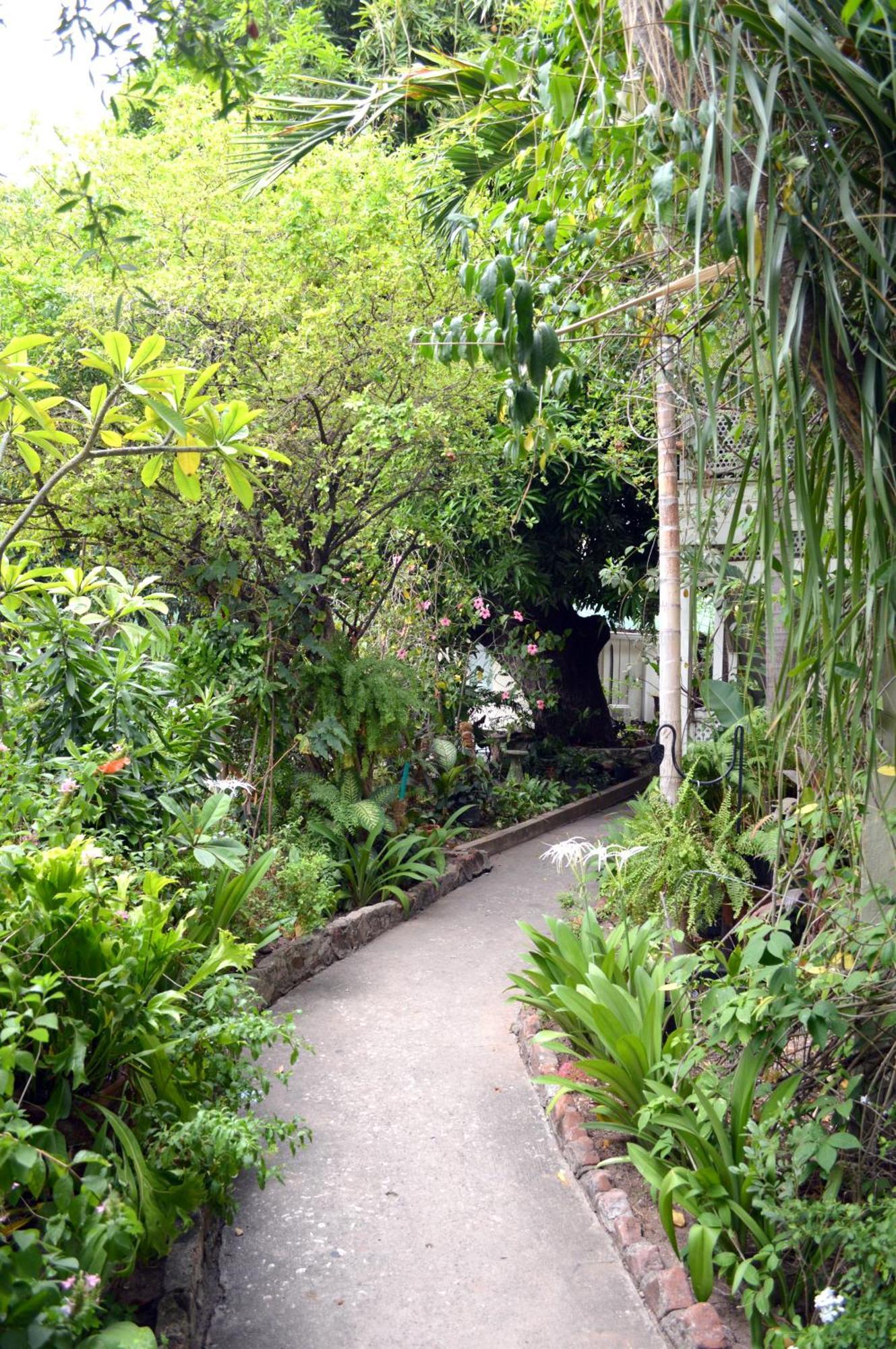 The Liguanea Club Hotel Kingston