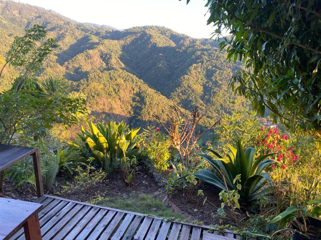 Tranquility Estate Bed & Breakfast