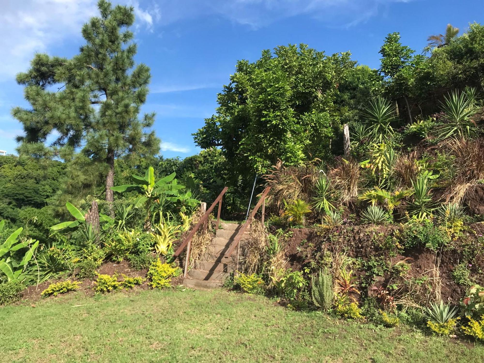 Bed & Breakfast Tranquility Estate