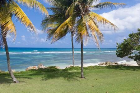 Hospitality Expert Madonna Tour Pool Bar Inn Montego Bay