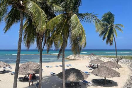 Hospitality Expert Mr X - Tour Pool Bar * Montego Bay
