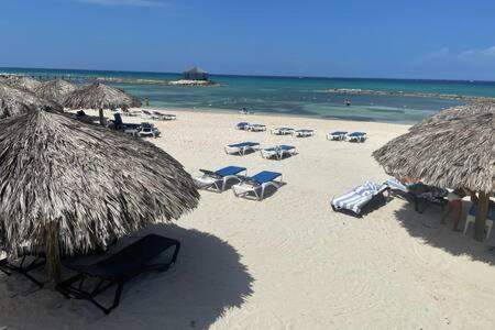 Hospitality Expert Zeppelin - Tour Pool Bar Montego Bay