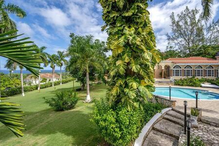 Inn Hospitality Expert Zeppelin - Tour Pool Bar Montego Bay