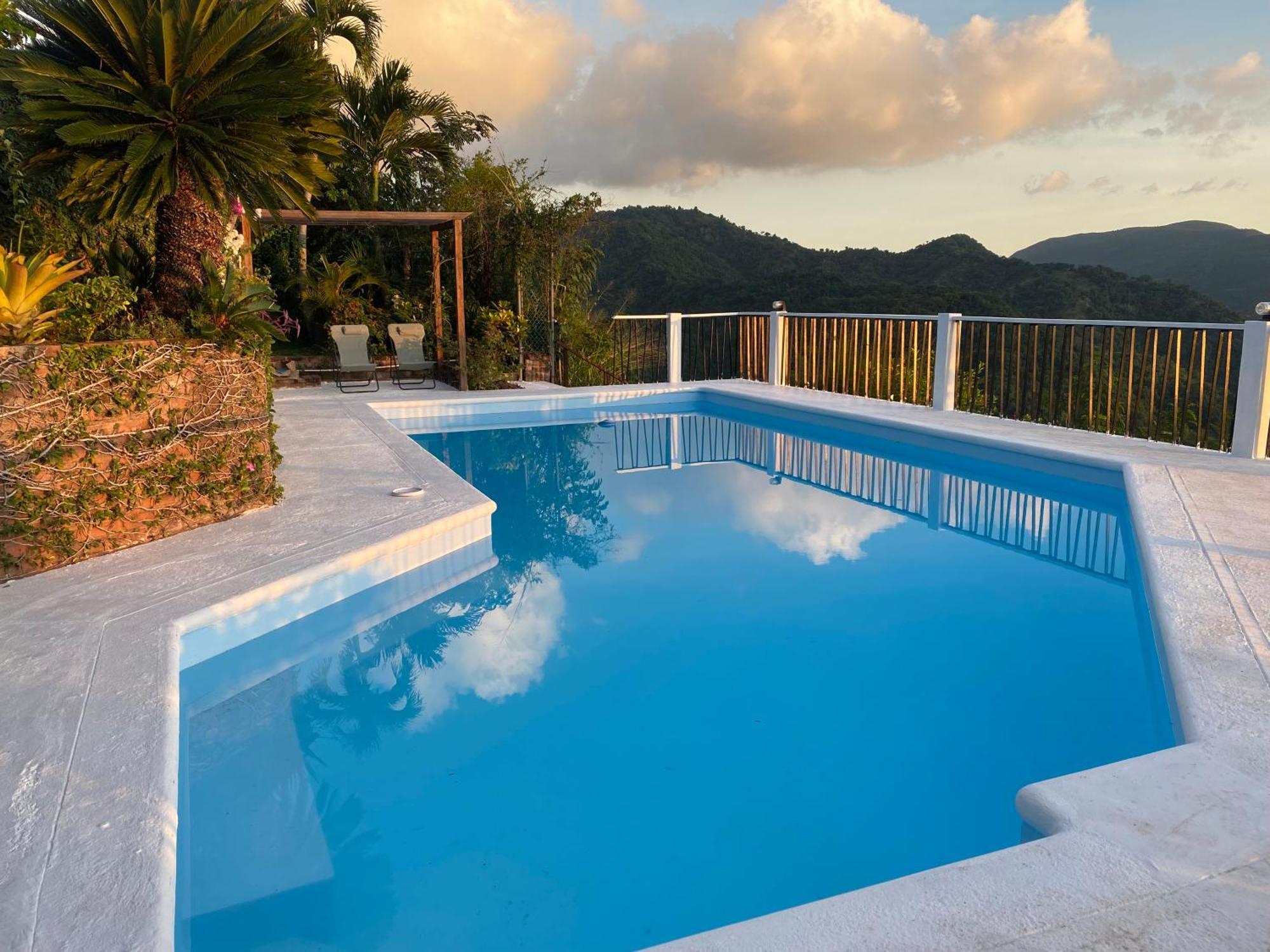 Tranquility Estate Bed & Breakfast Kingston