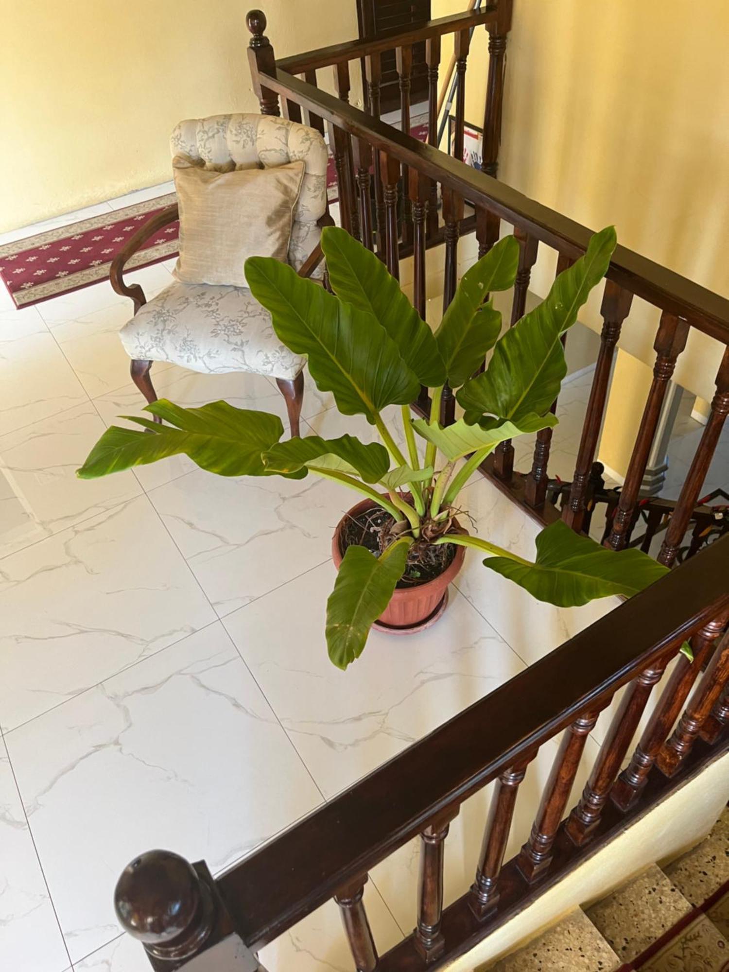 Lagardan Ocean View 3*