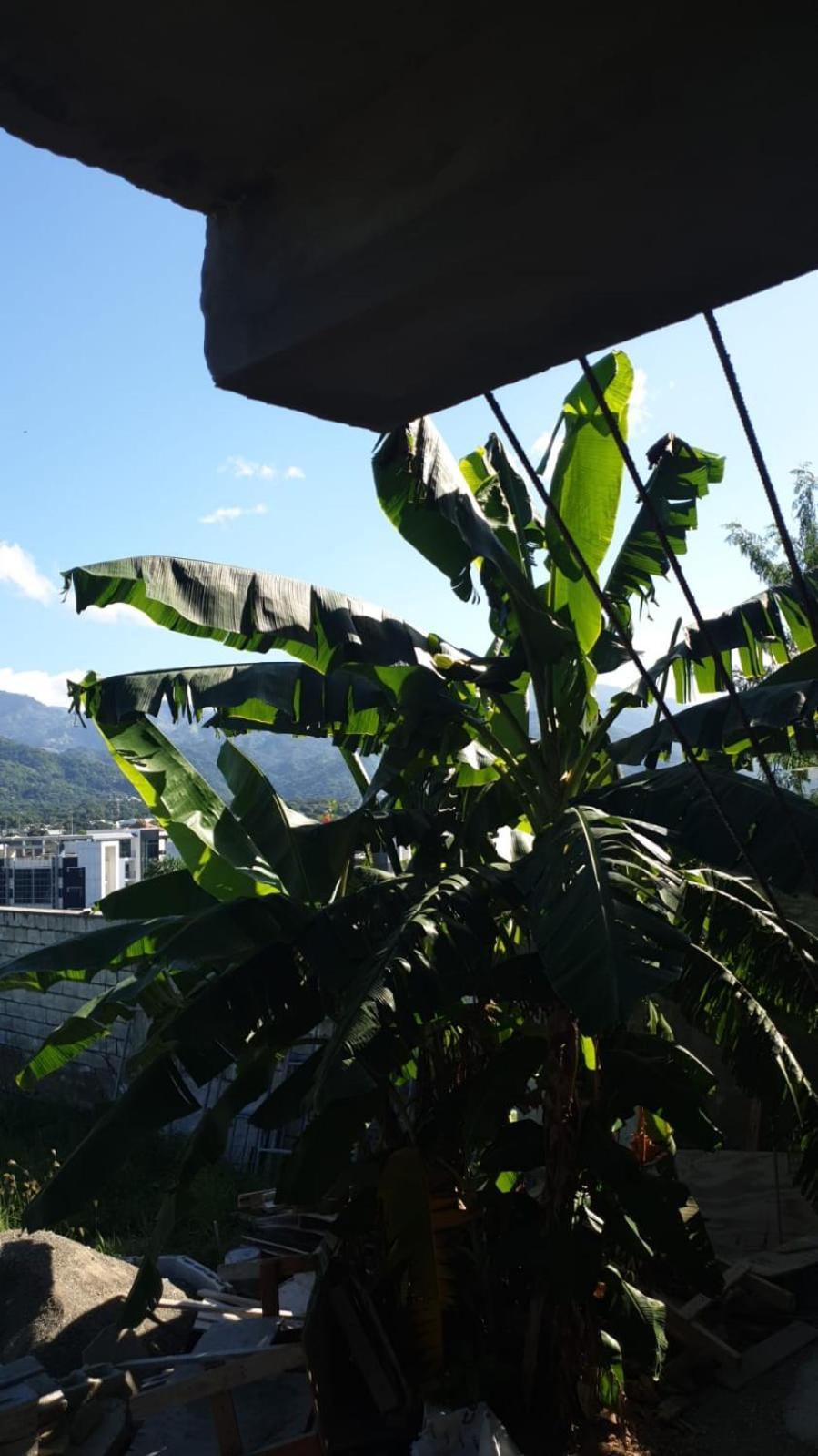 Amharic Guest house