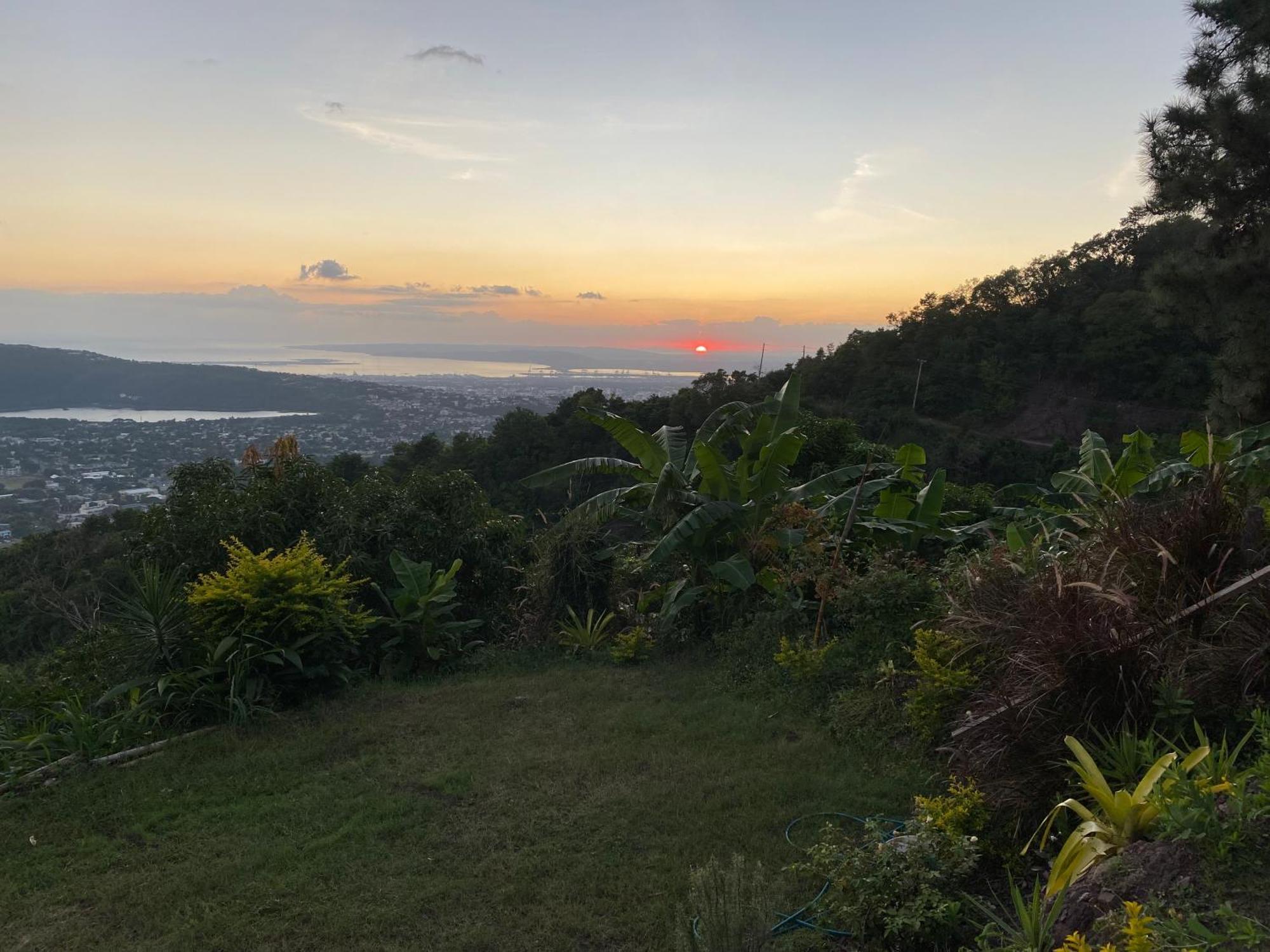 Tranquility Estate Bed & Breakfast