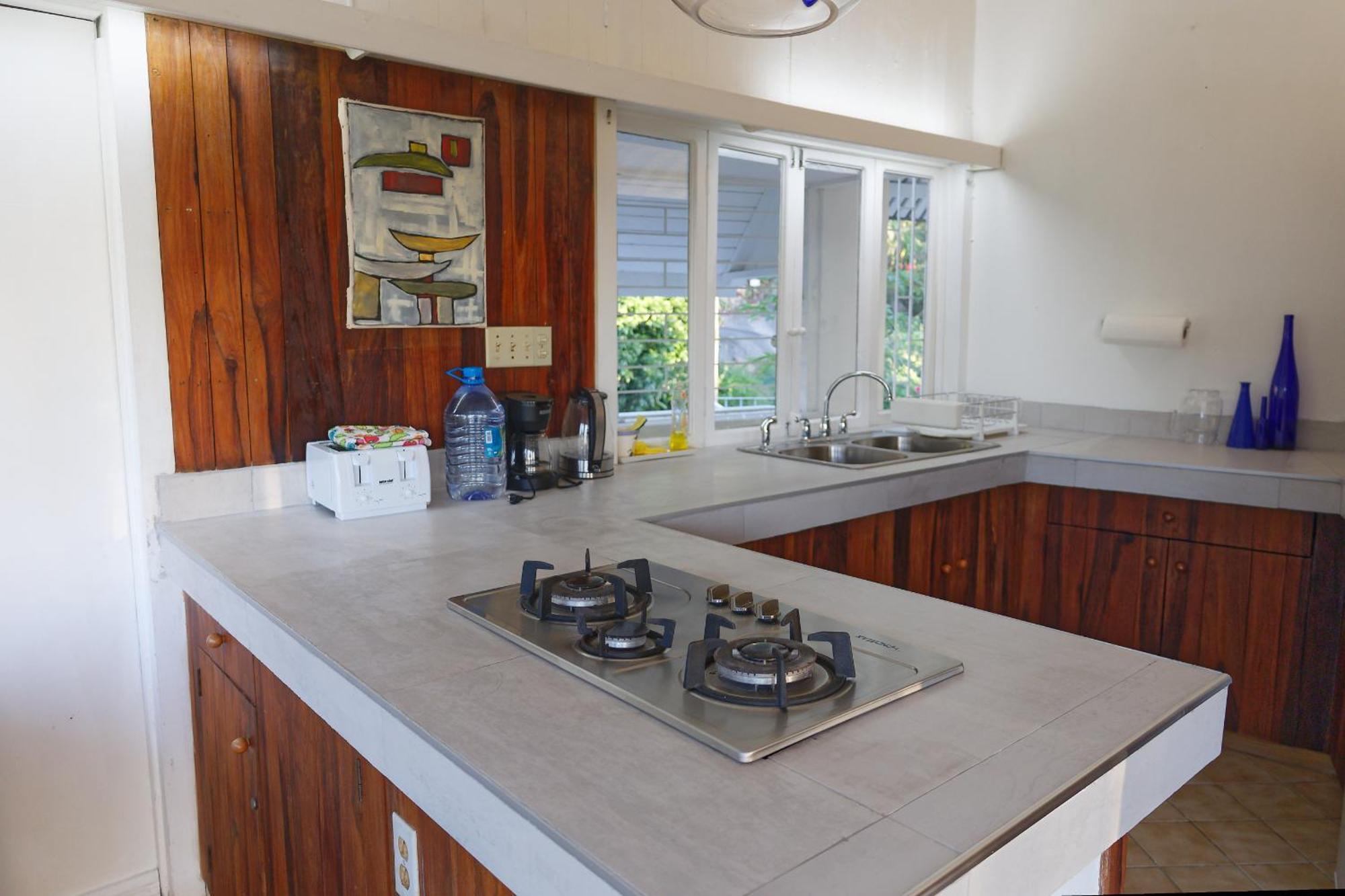 Apartment The Fan Port Antonio
