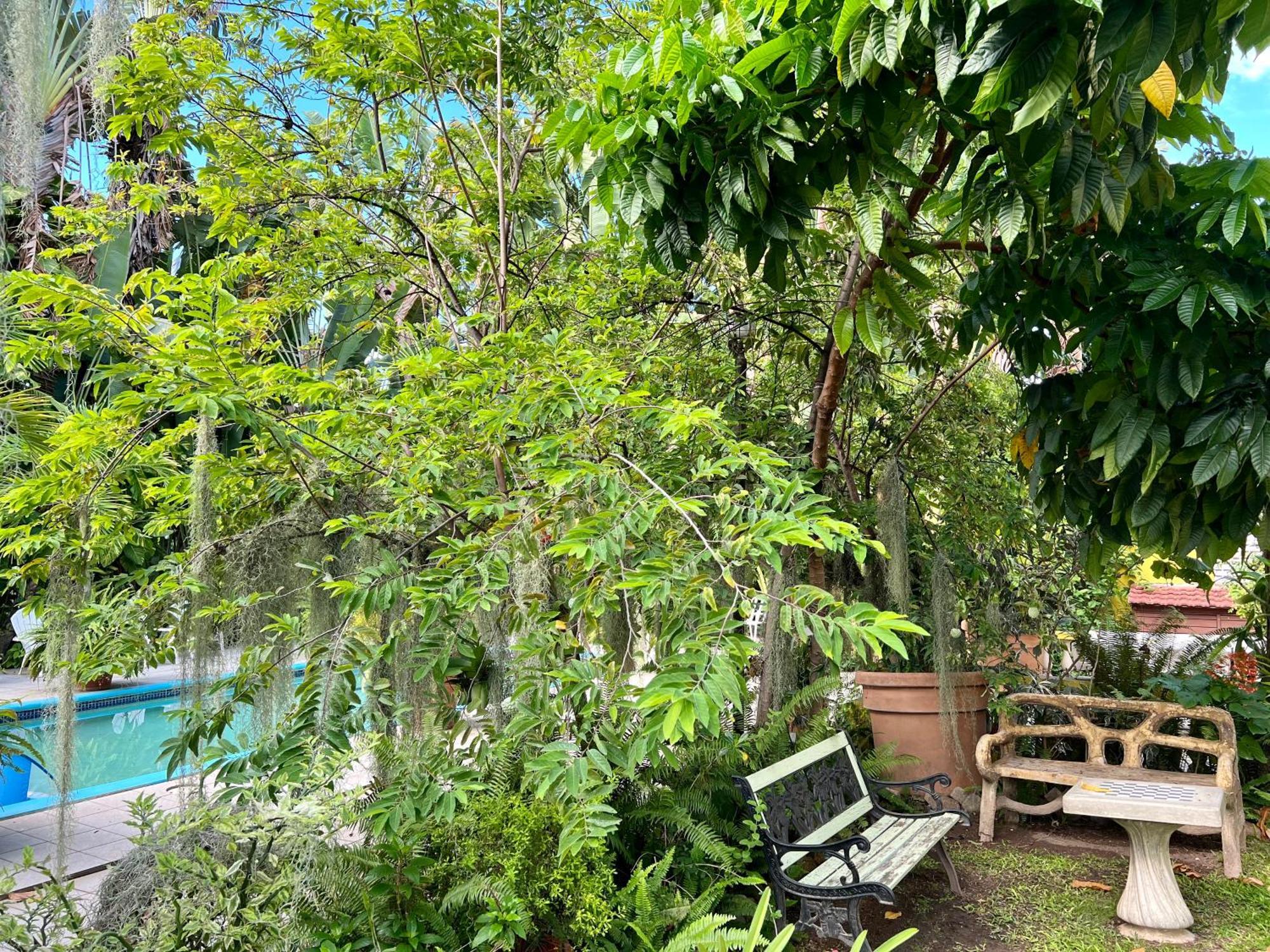 Guest house Orchid 2*