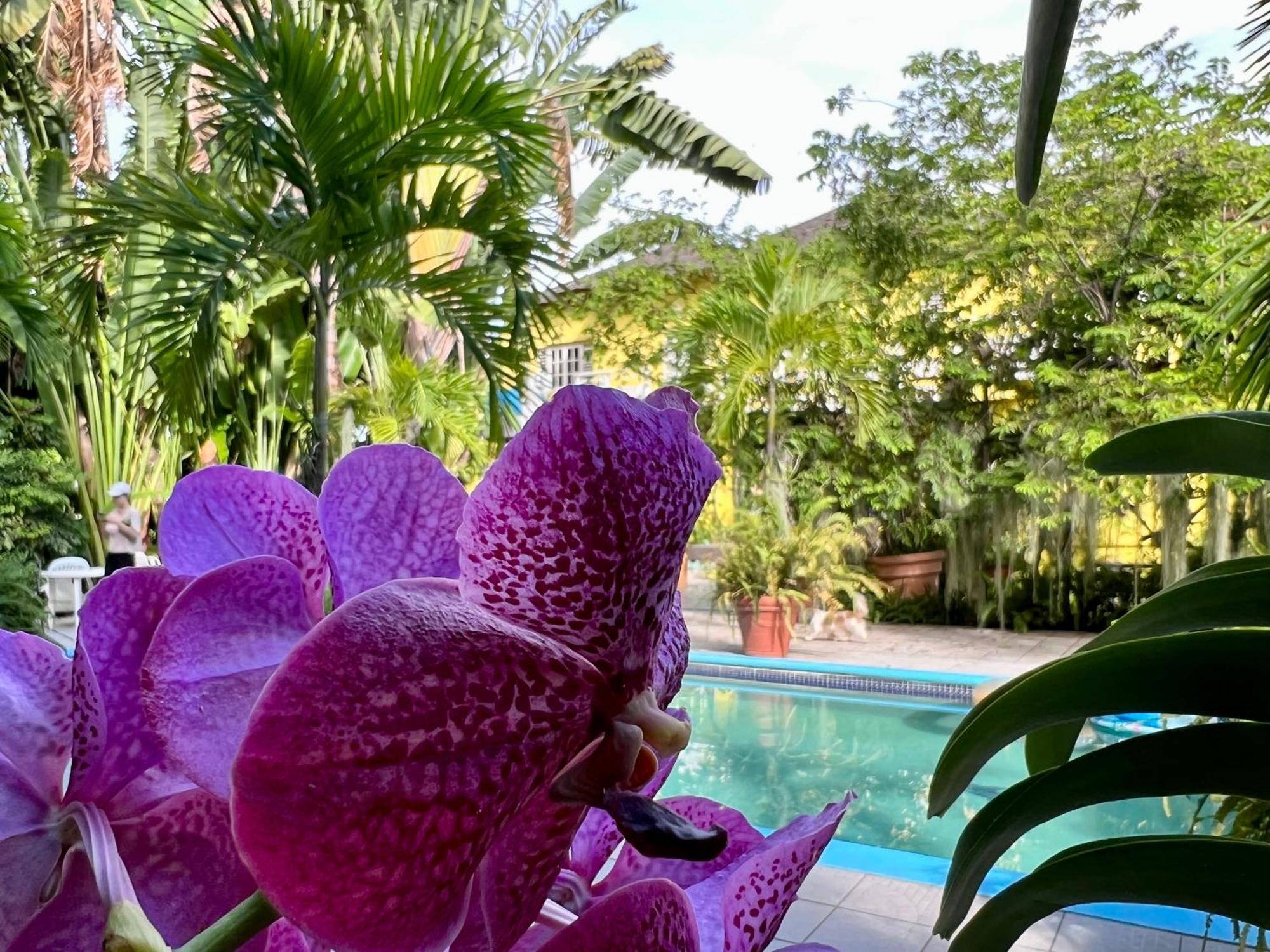 Orchid Guest house 2*