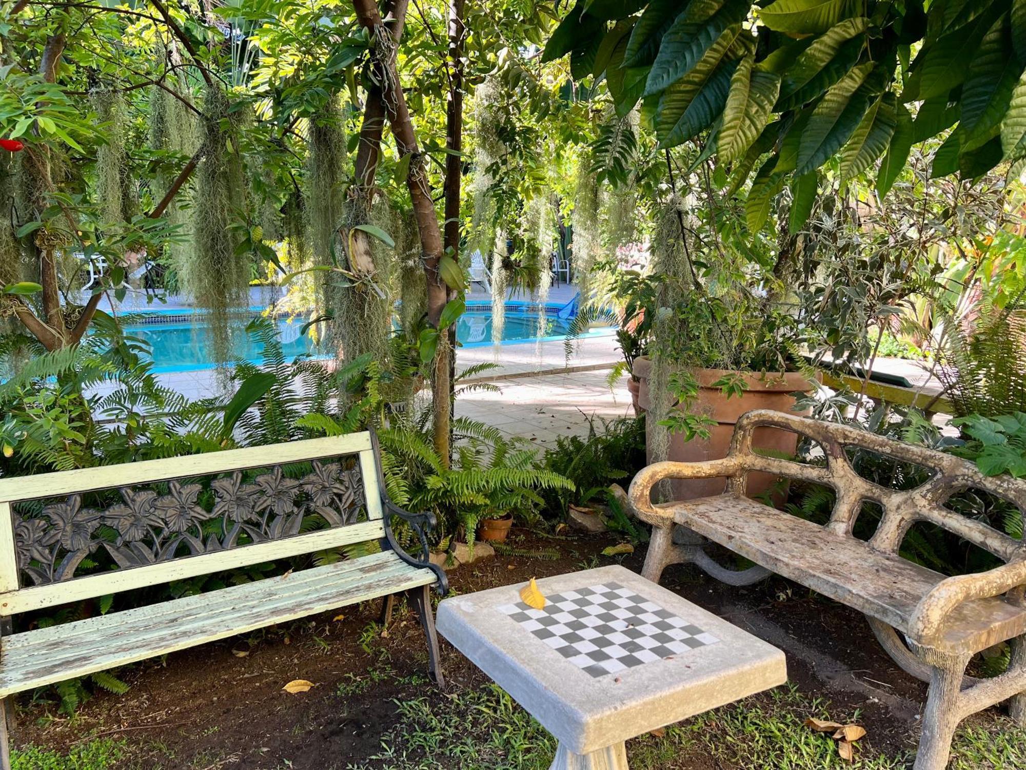 Orchid Guest house Kingston