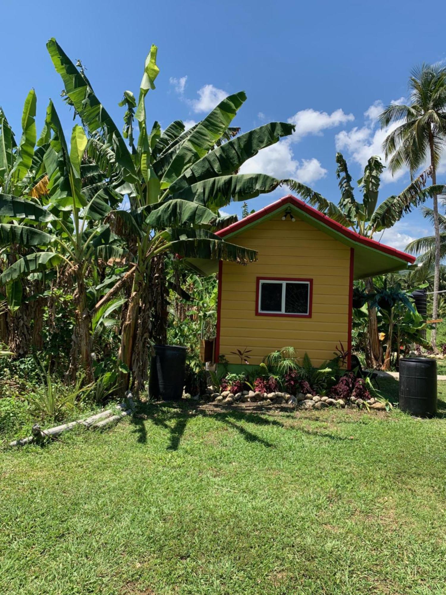Queendom Farm And Hostel *
