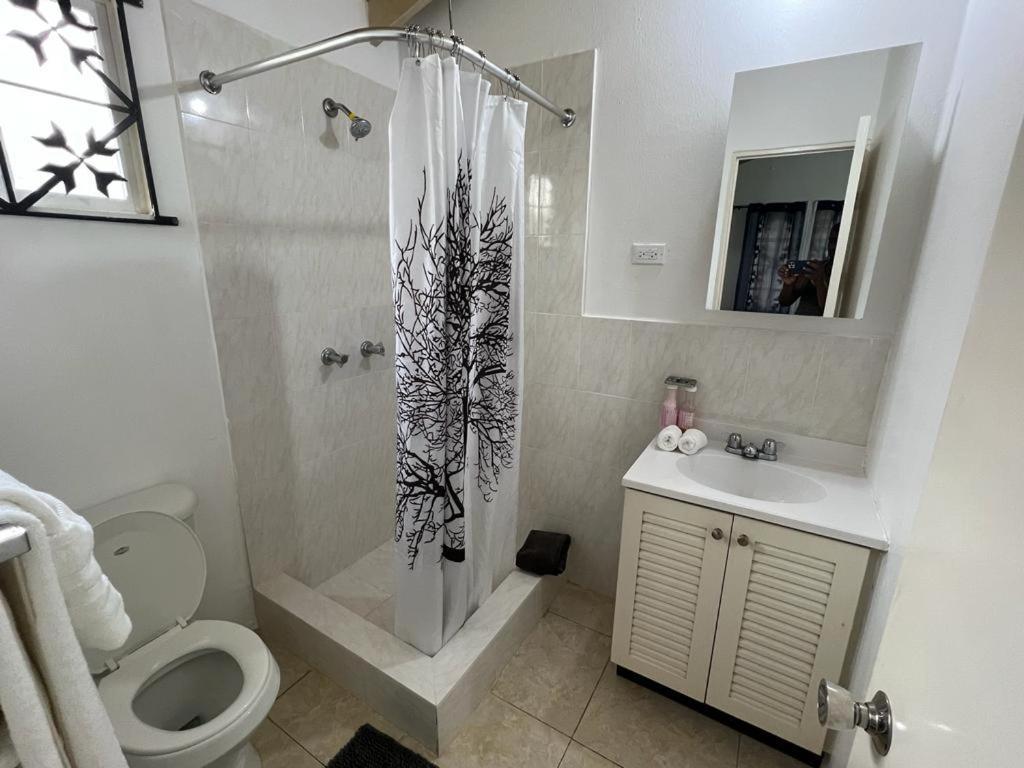 Splendid Sensation Hostel *