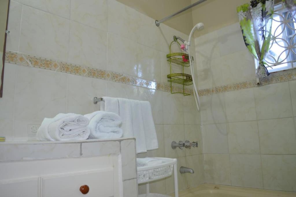 Cozy Locale - Gold Guest house Port Antonio