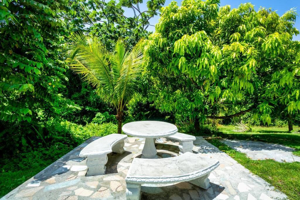 Cozy Locale - Gold Port Antonio