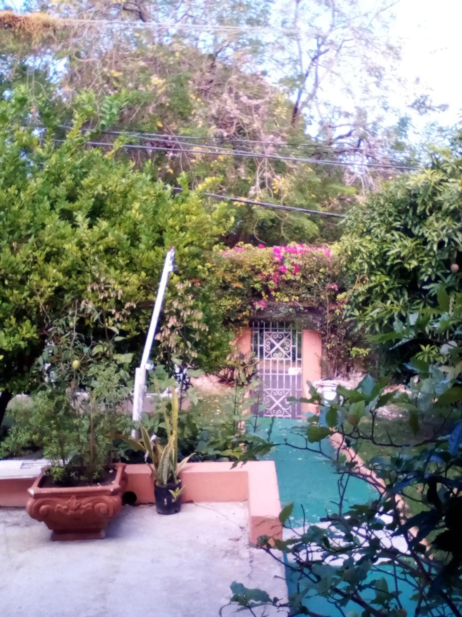 Acomodação com café da manhã  Castle Vue