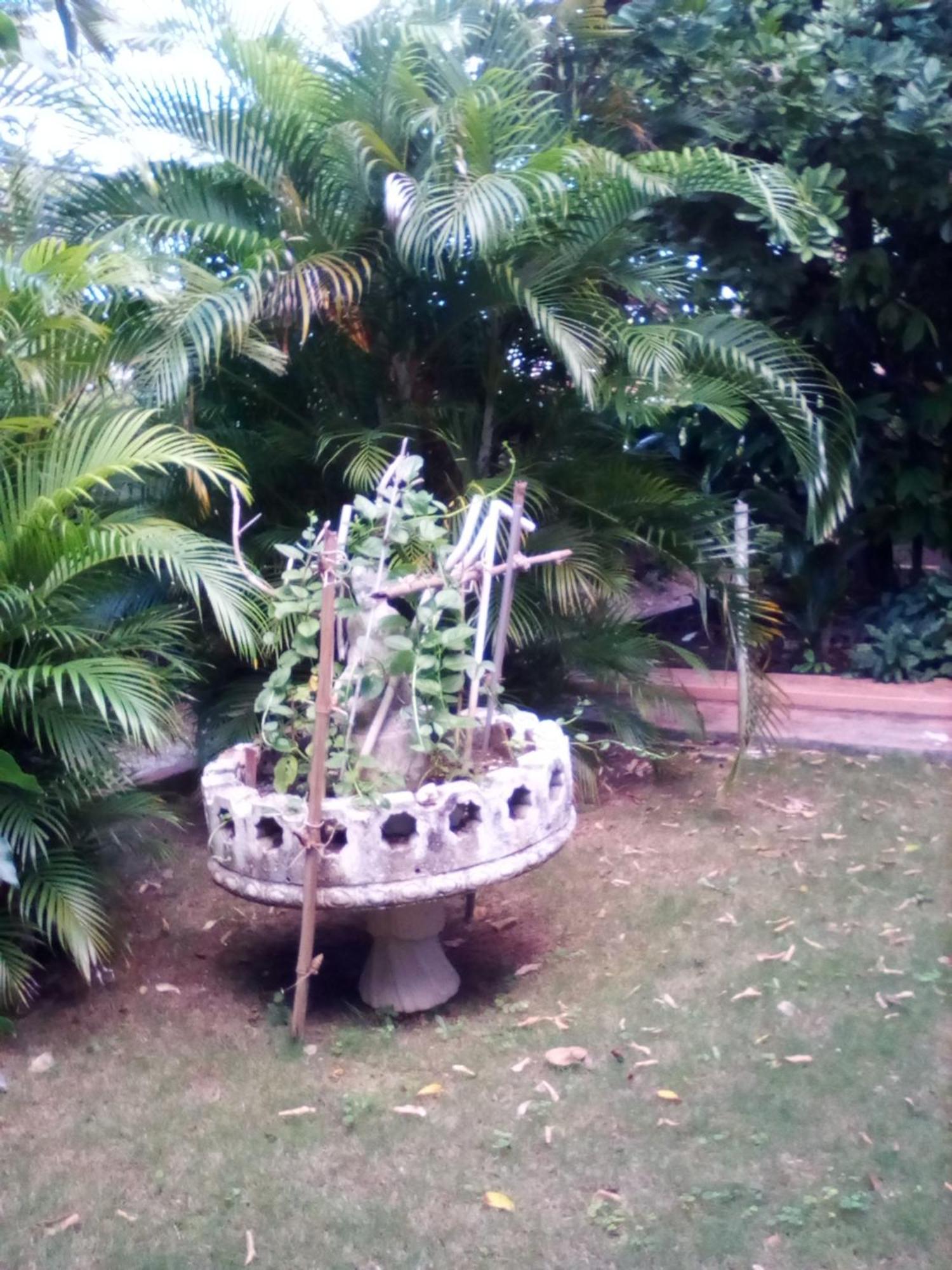 Castle Vue Acomodação com café da manhã  Montego Bay