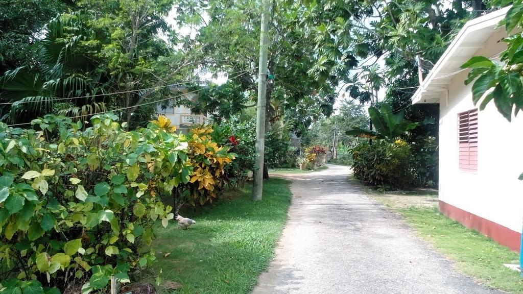Lodge Golden Sunset Villas Negril