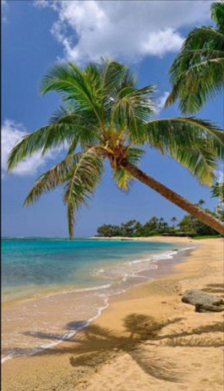 24 Edwards Ave ,runaway Bay Jamaica 6 * Runaway Bay