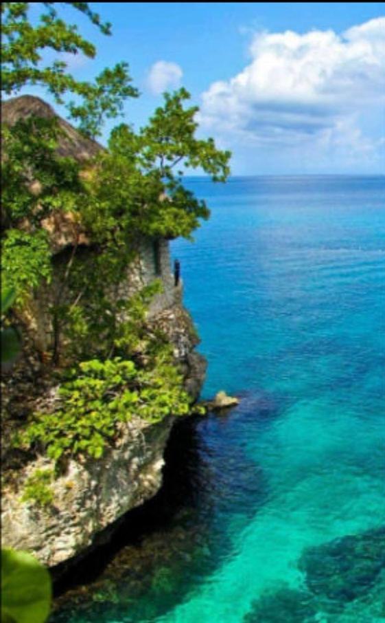 24 Edwards Ave ,runaway Bay Jamaica 6 *