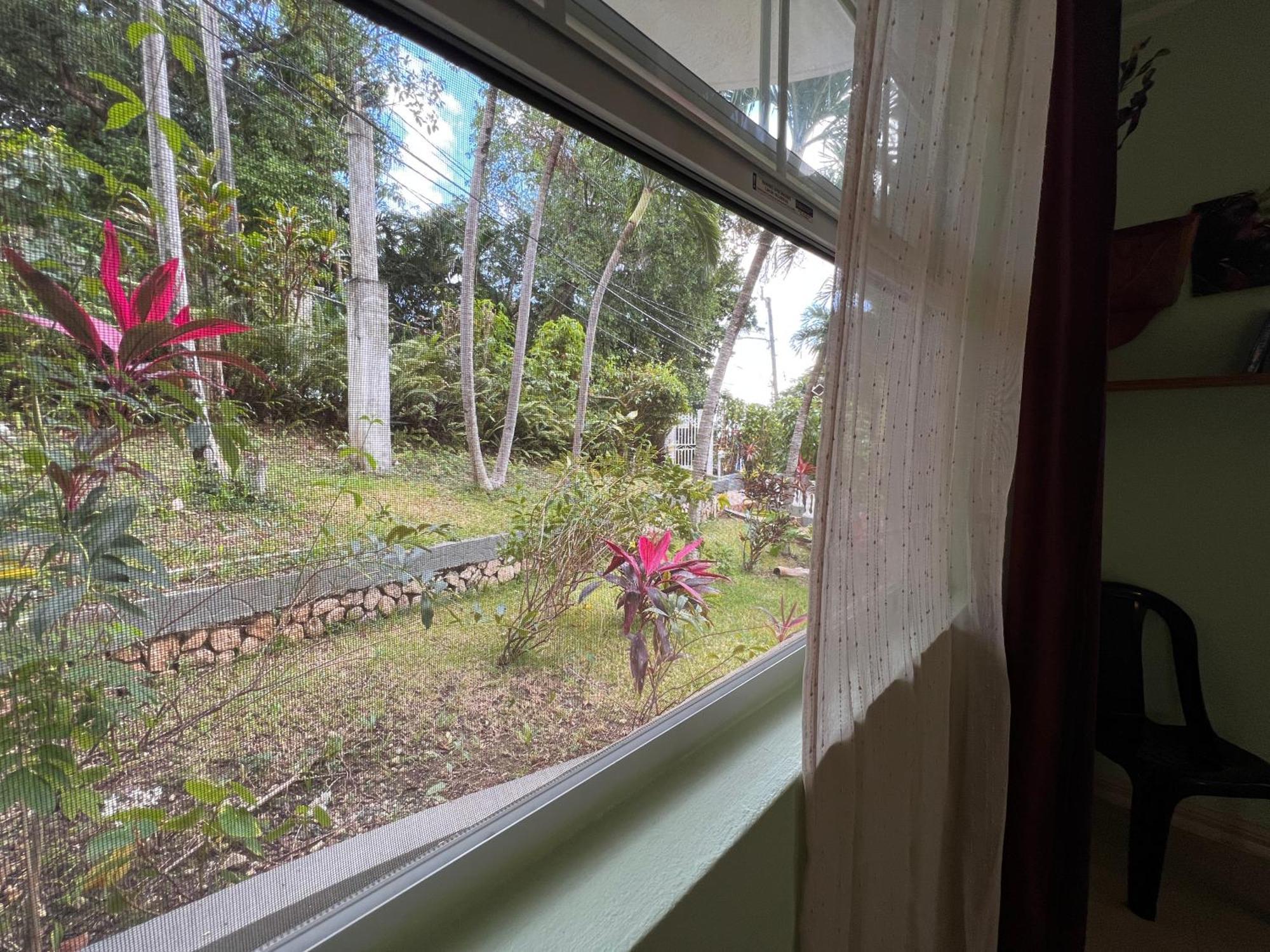 All Nations Gasthof Port Antonio