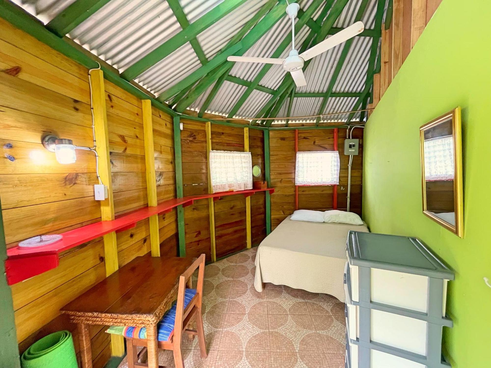 Judy House 2 - Lewis Backpacker *
