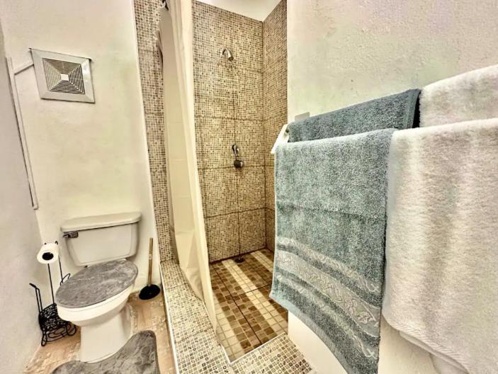 876 Oasis - A Private Oceanview Ocho Rios