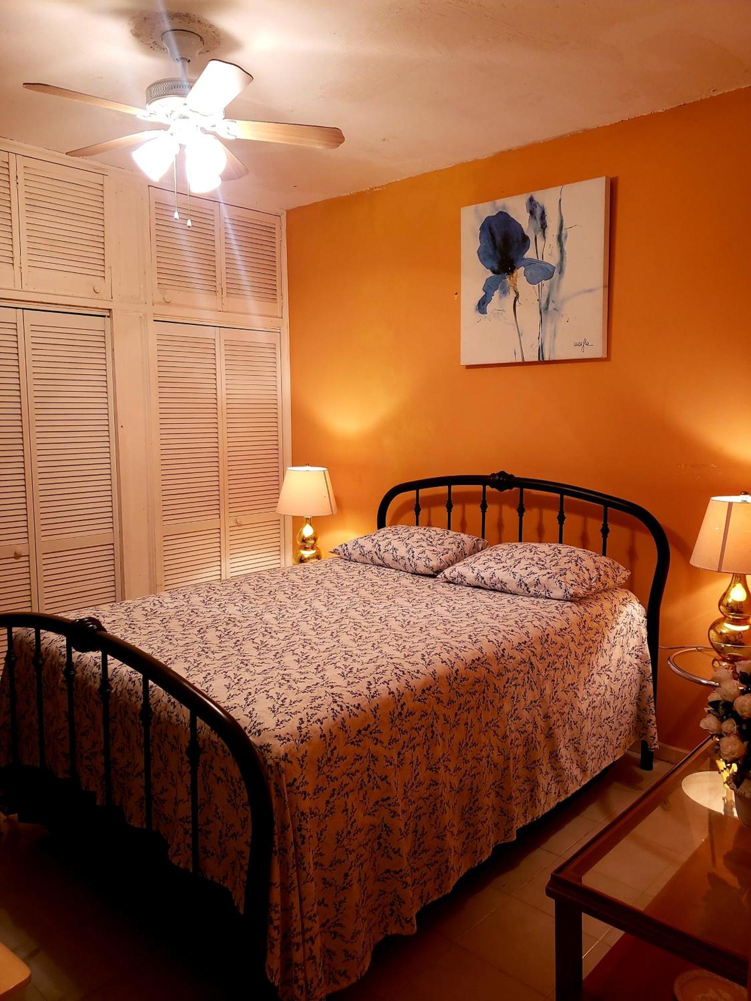 Comfy Montego Bay