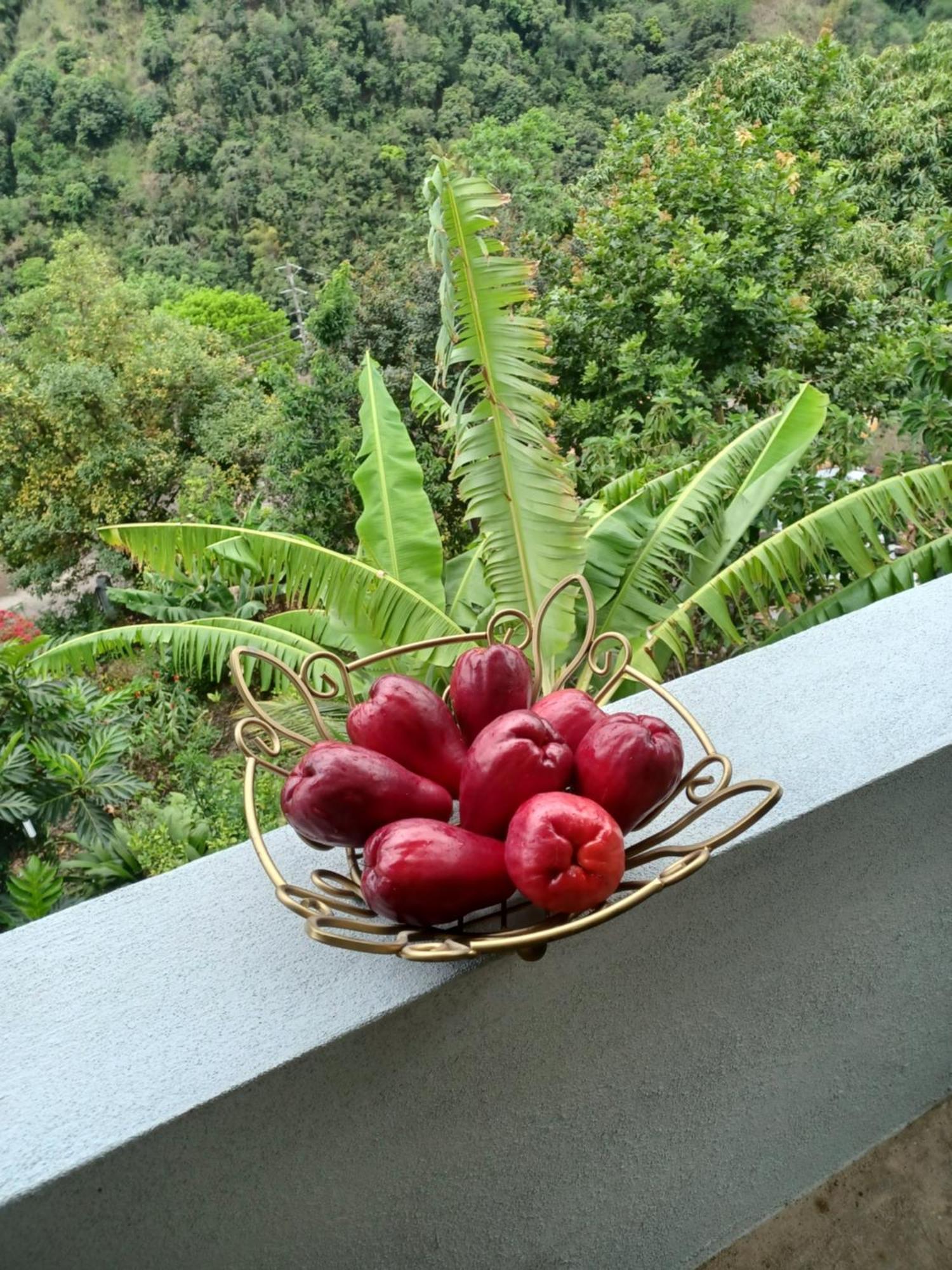 Cassy's Child's Guest house *