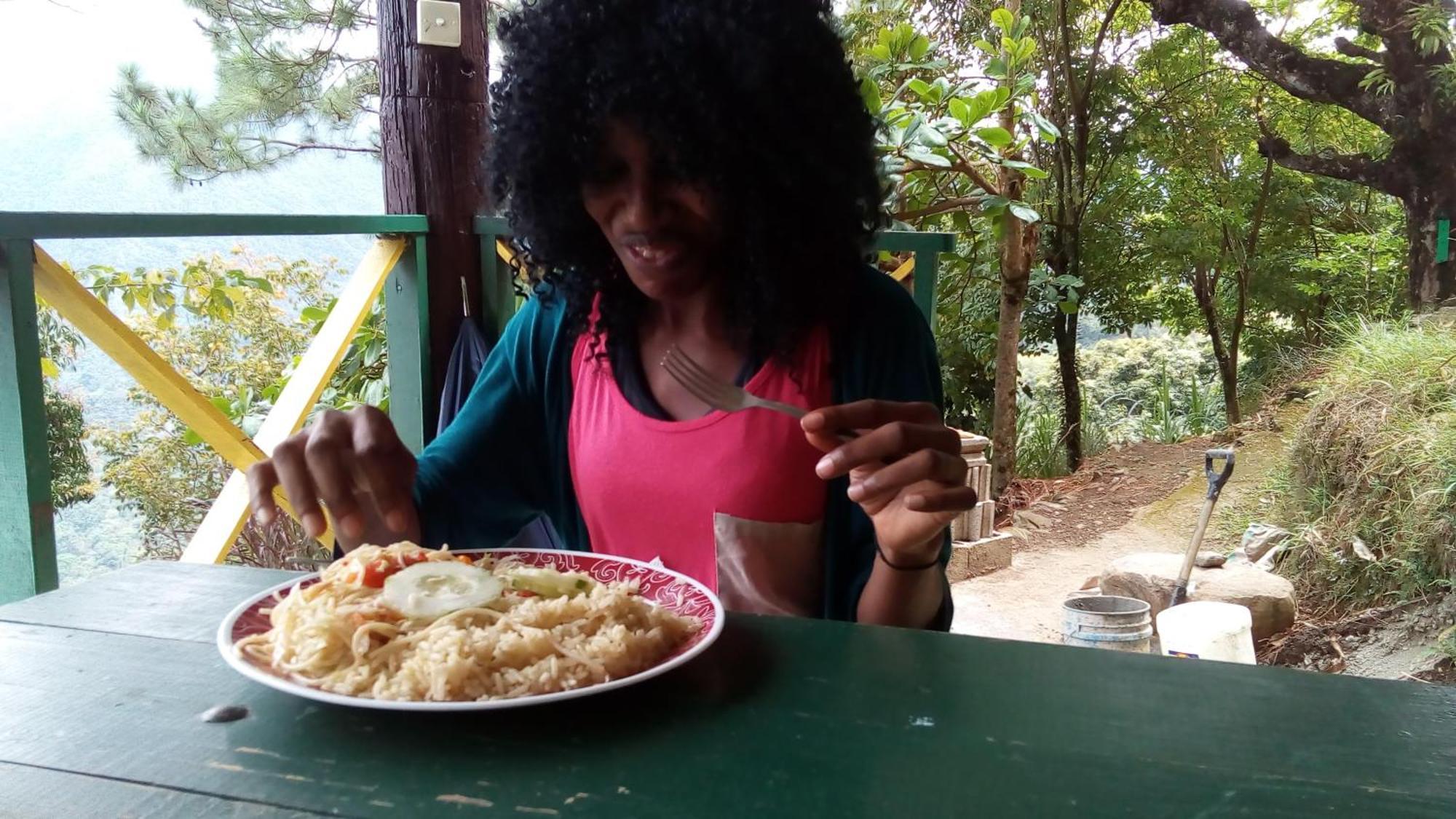Blue Mountain Wilderness Retreat Lodge Port Antonio
