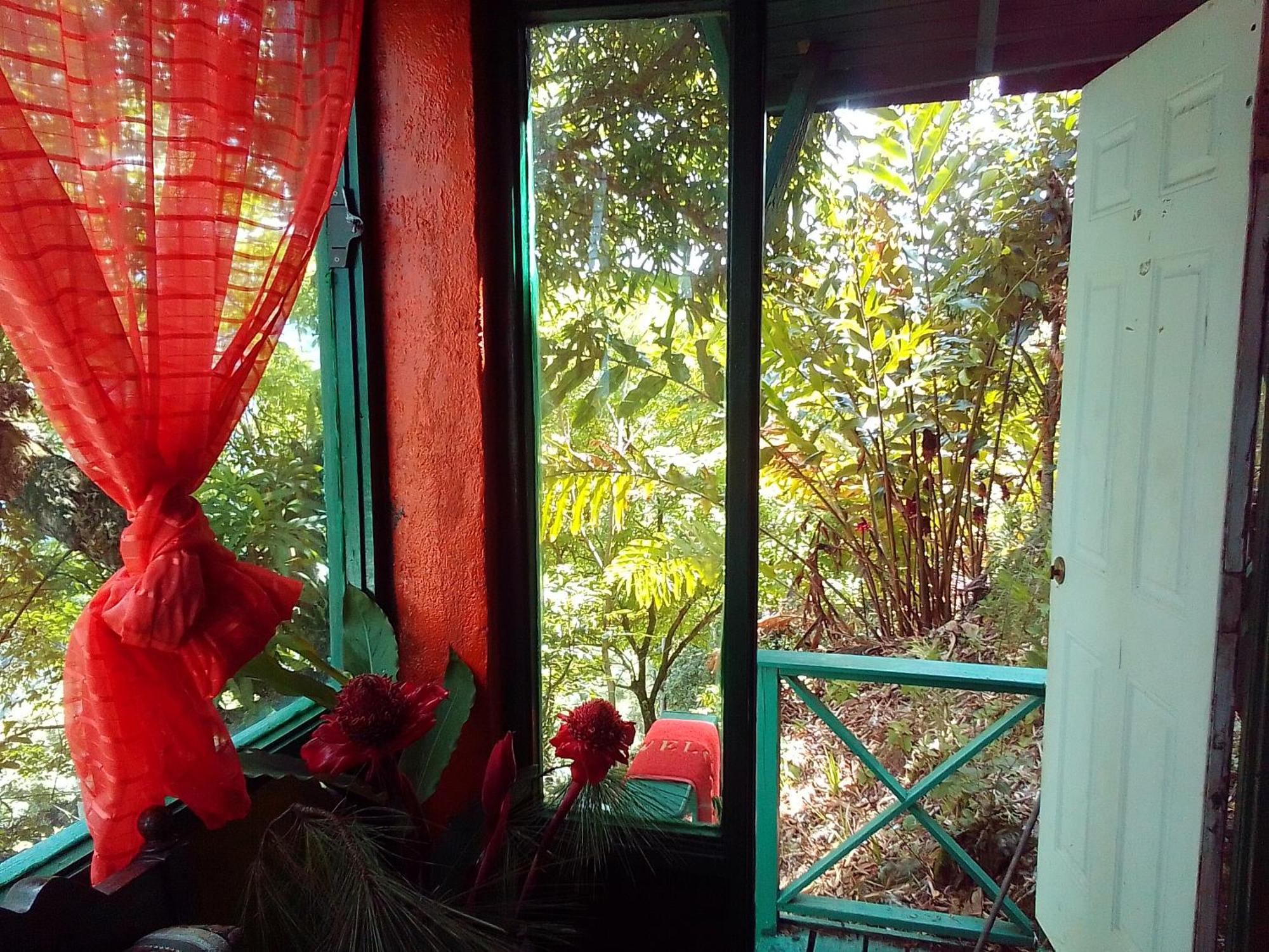 Blue Mountain Wilderness Retreat Lodge Port Antonio