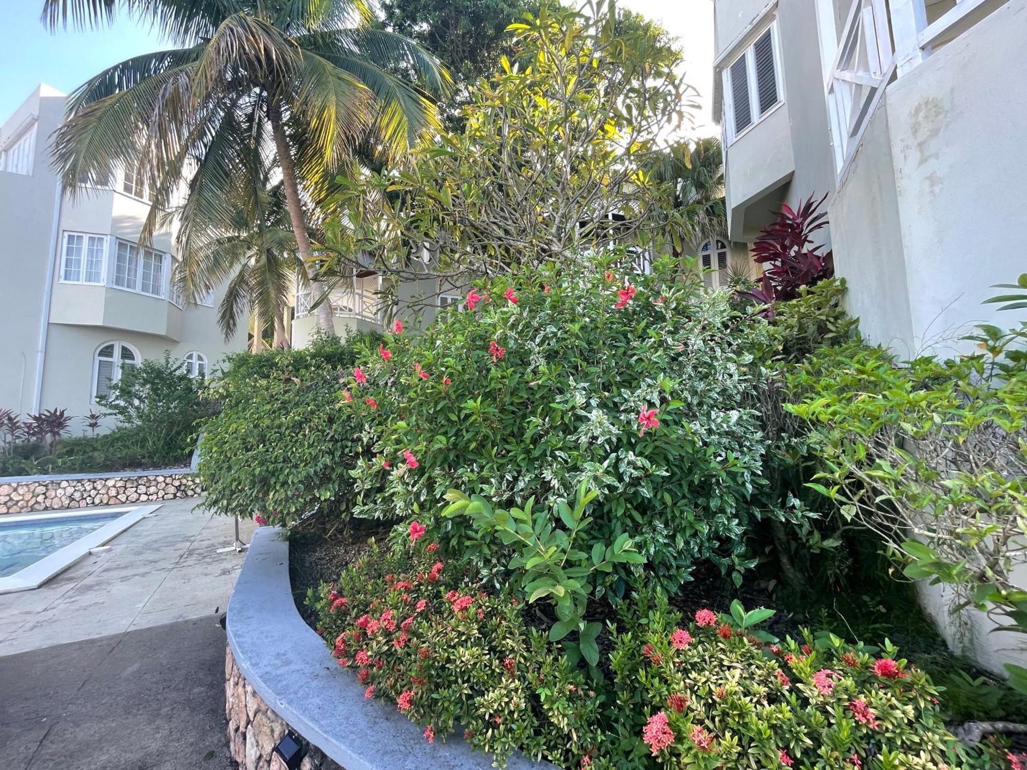 Apartamento Oceanbreeze Jamaica Penthouse, 7-minute Walk To Ocho Rios