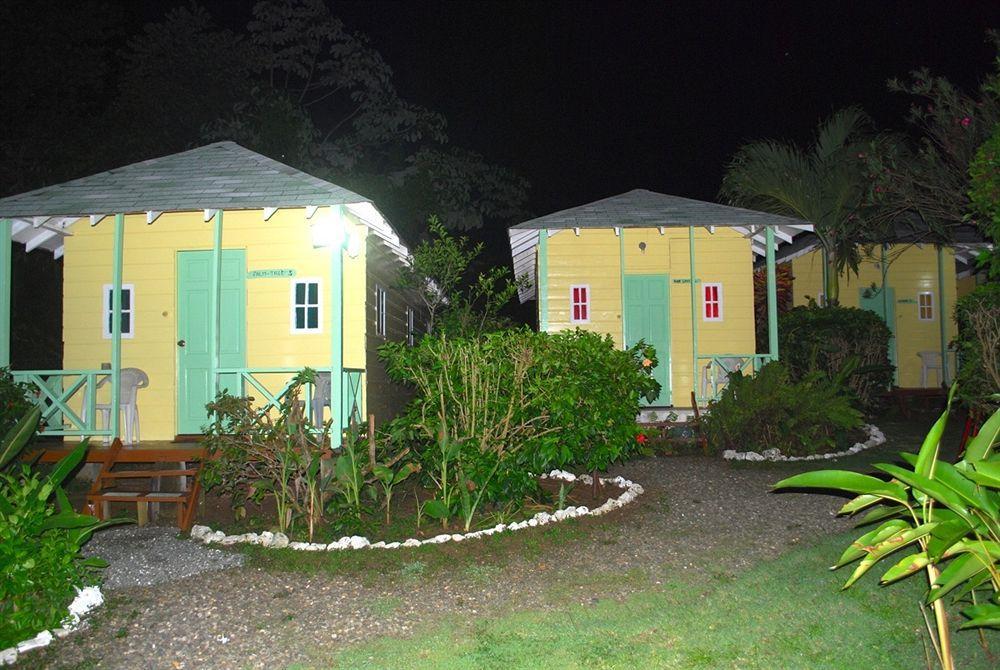 Hotel Jamaican Colors 3*