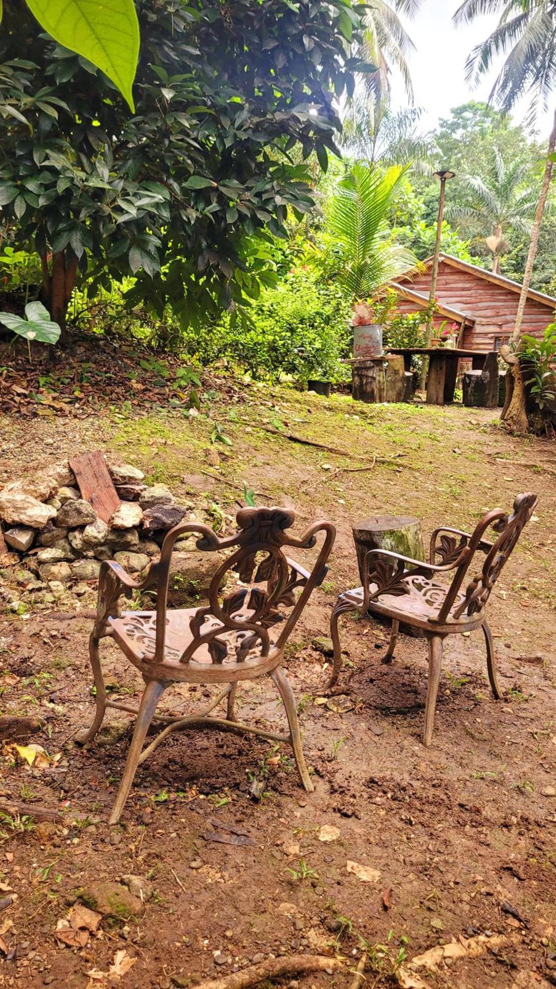 Lodge Ecoscape Jamaica - Lavish 1-br By The River