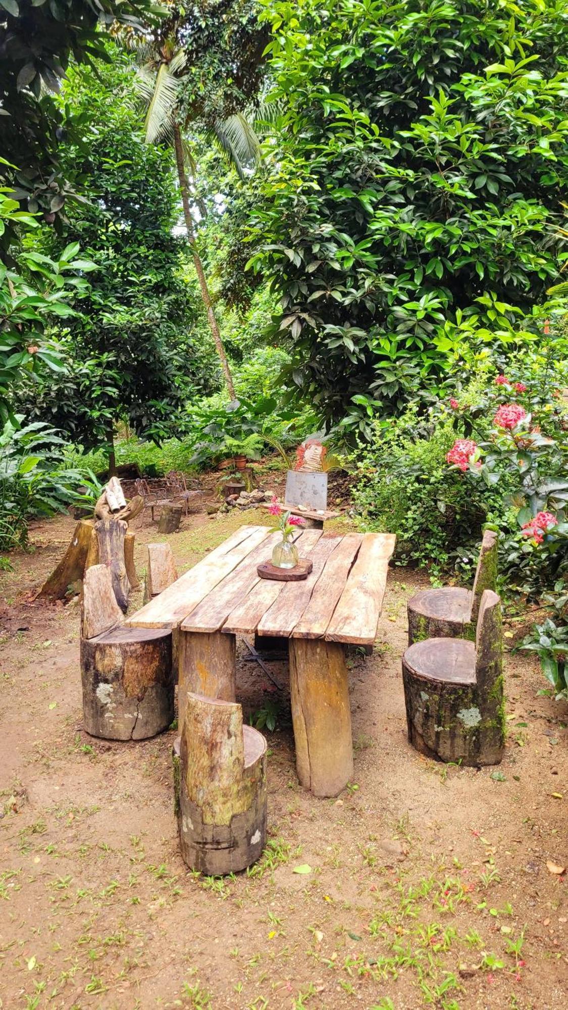 Ecoscape Jamaica - Lavish 1-br By The River Lodge *
