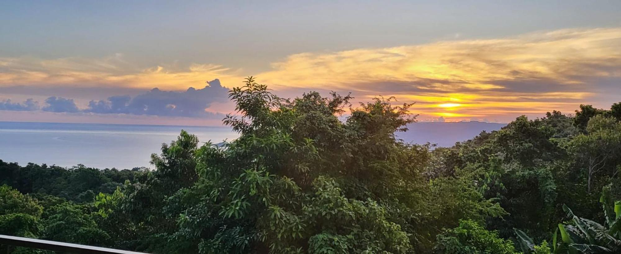 Misbhaven And * Port Antonio
