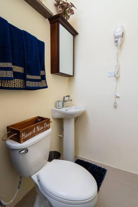Apartamento Tropical Luxury 1876