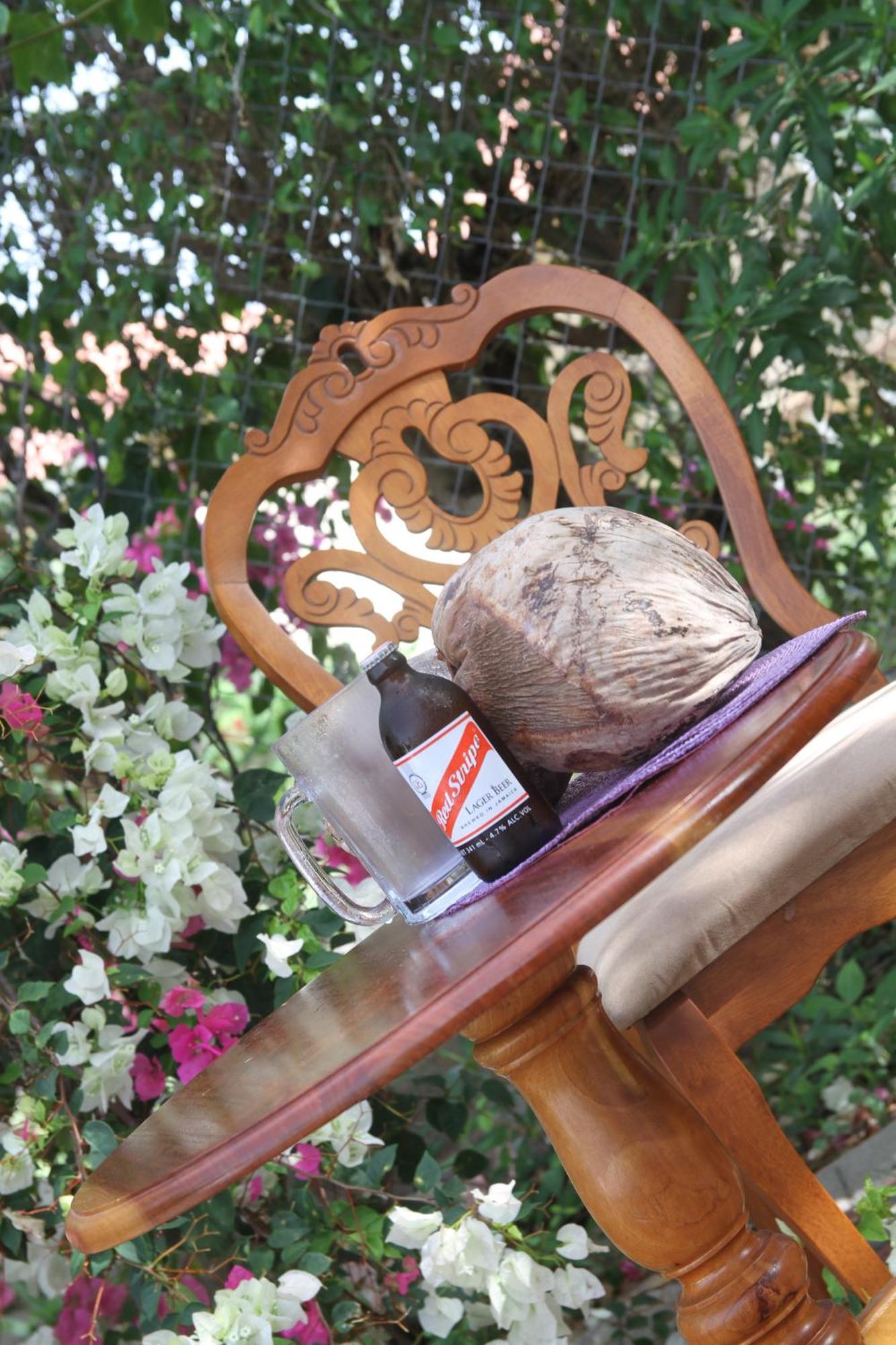 Sweetsop Jamaica And Tours * Montego Bay