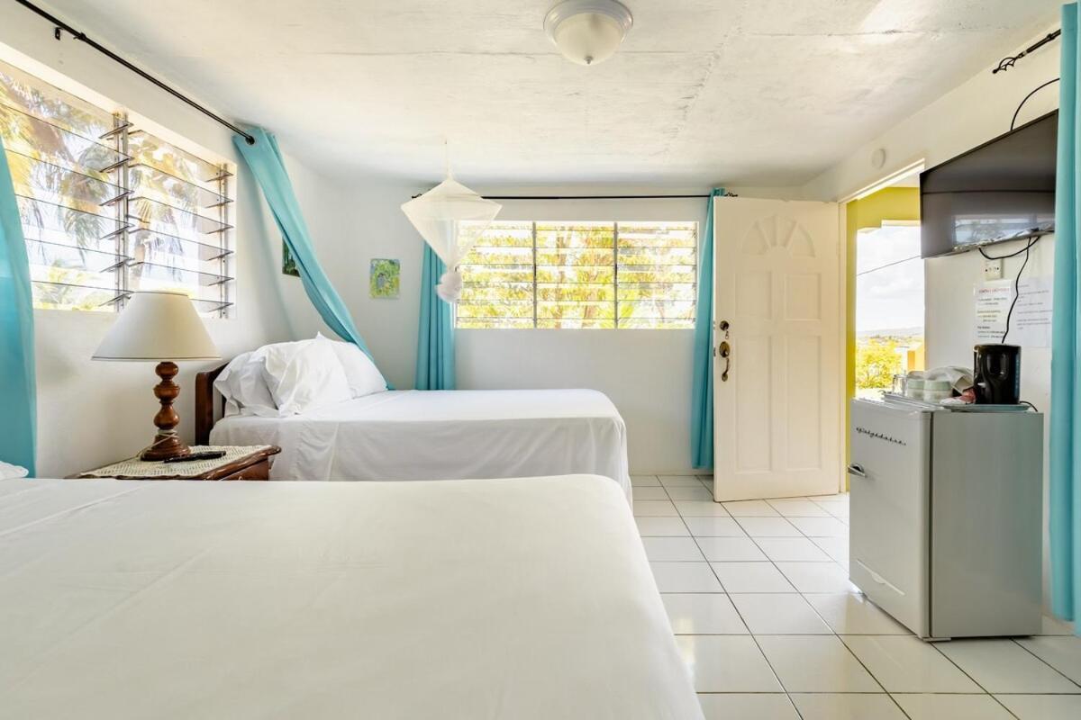 Rockside - Oceanfront Paradise With Stunning Views Casa de férias