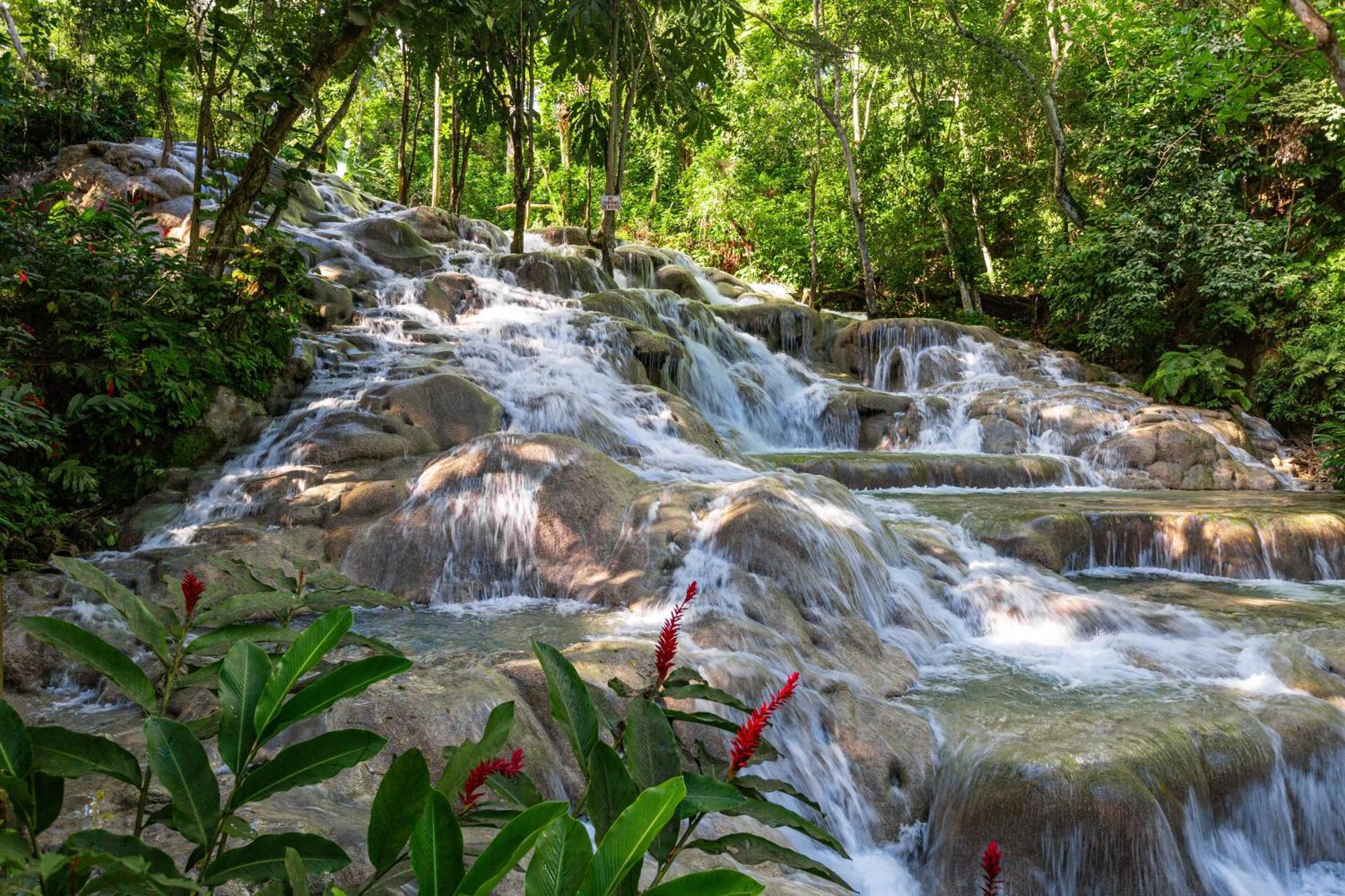 Sandals Dunns River Couples Only 5*