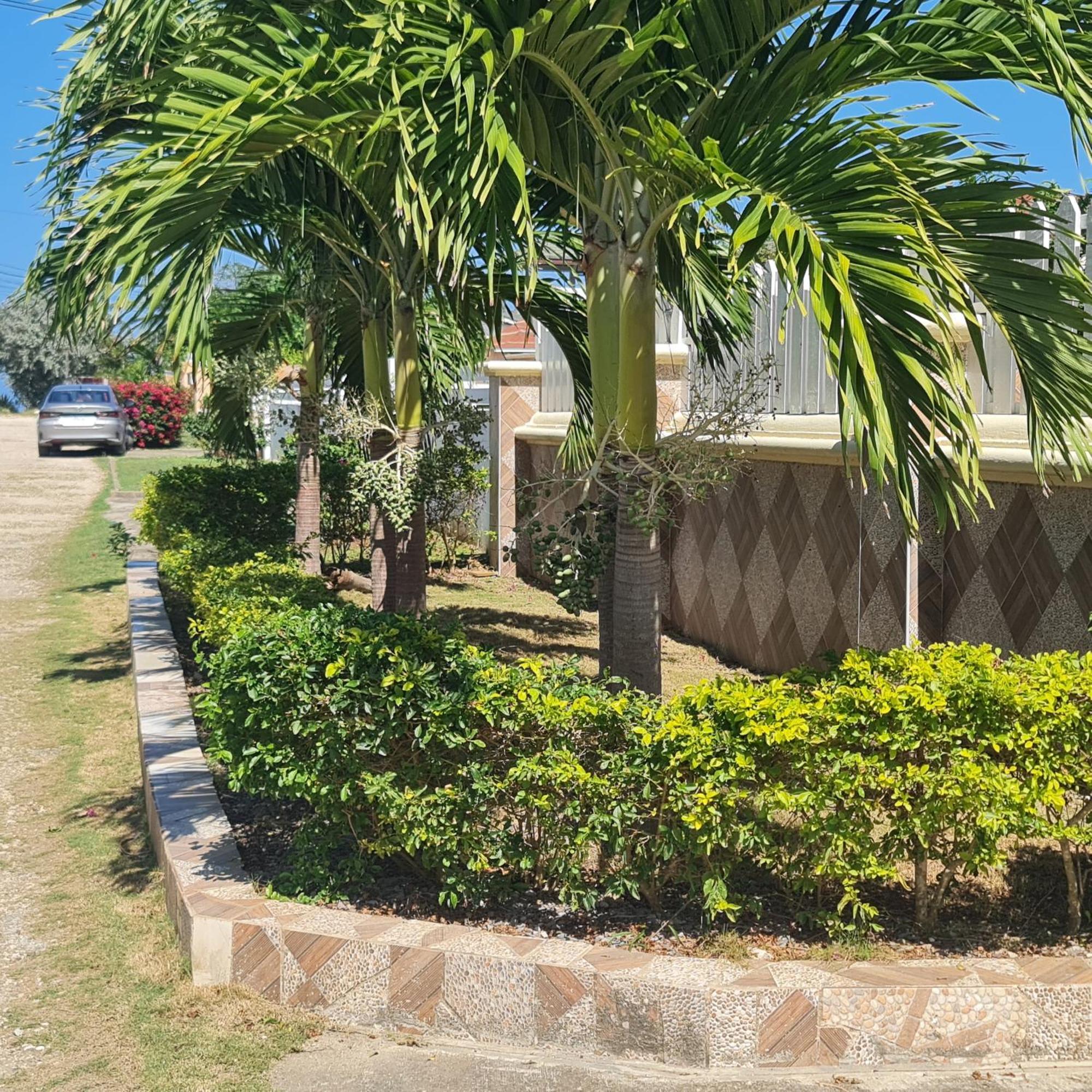 Paradise Place Grande * Discovery Bay