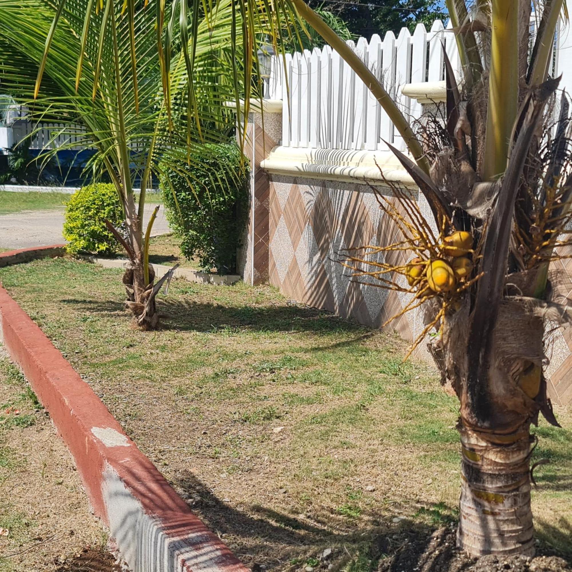 Guest house Paradise Place Grande *