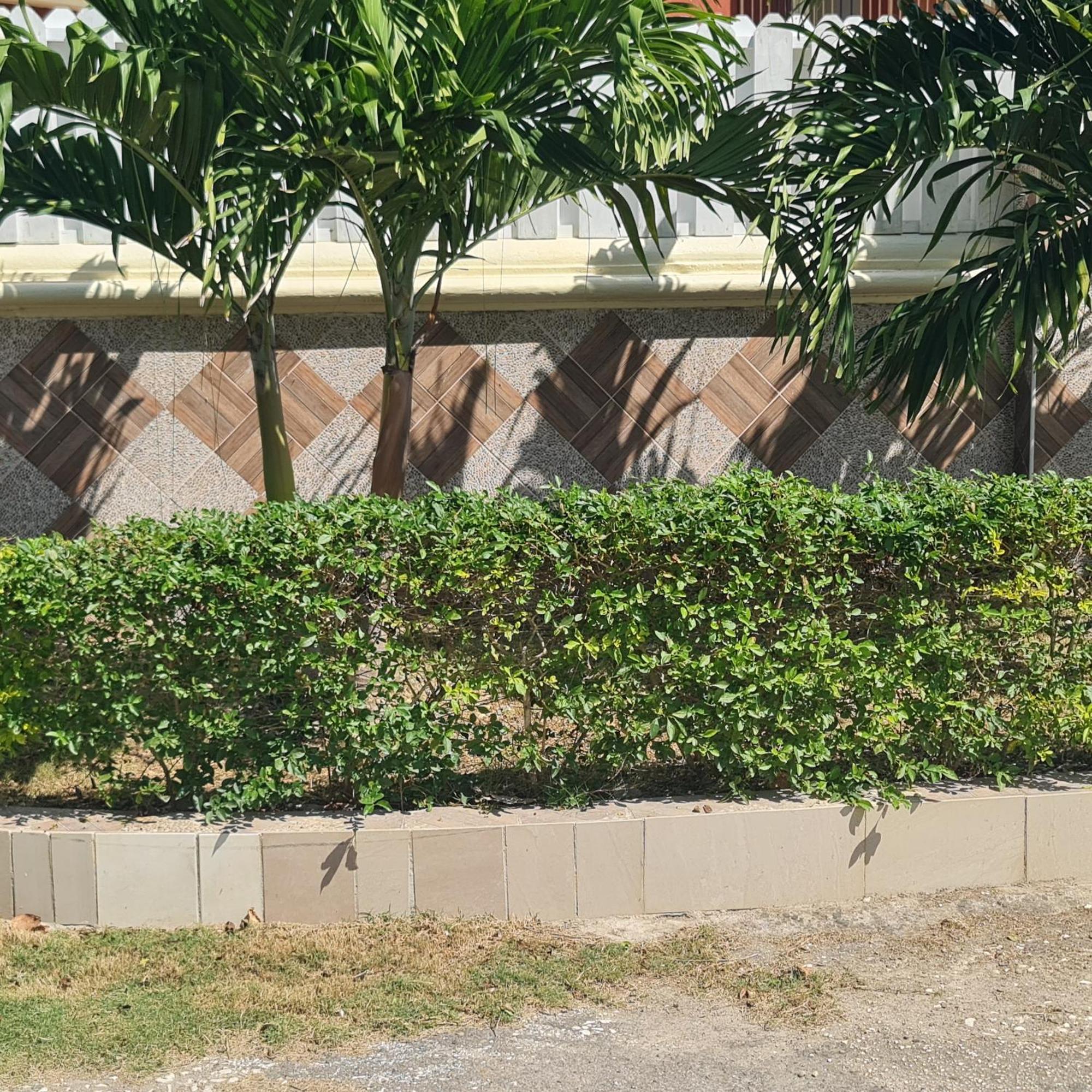 Paradise Place Grande Guest house *