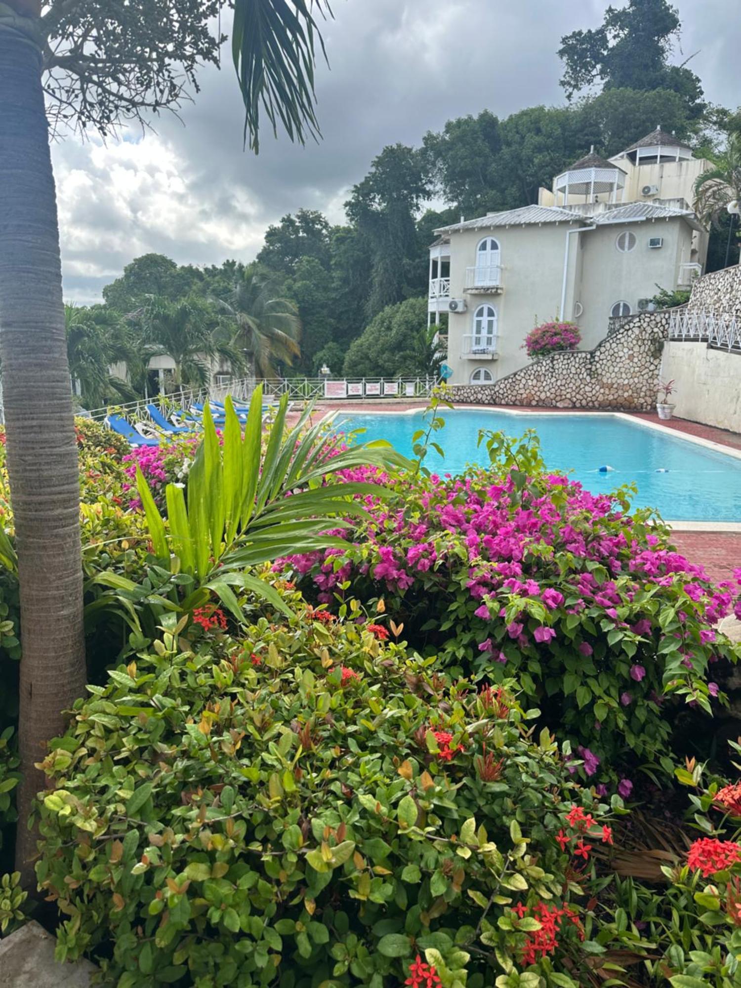 Pousada Unbelievable View Ocho Rios