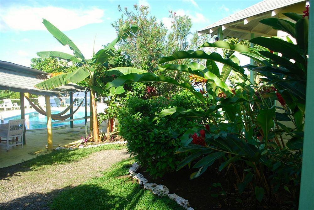 Jamaican Colors